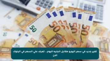 تغير جديد في سعر اليورو مقابل الجنيه اليوم.. تعرف على السعر في البنوك الآن